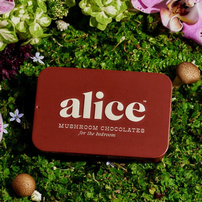 Alice Mushrooms Happy Ending: Mushroom Chocolates for Arousal