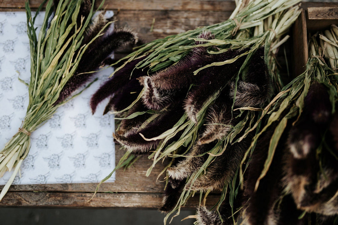 The Kinlands Extra Large Dried Millet Bouquet
