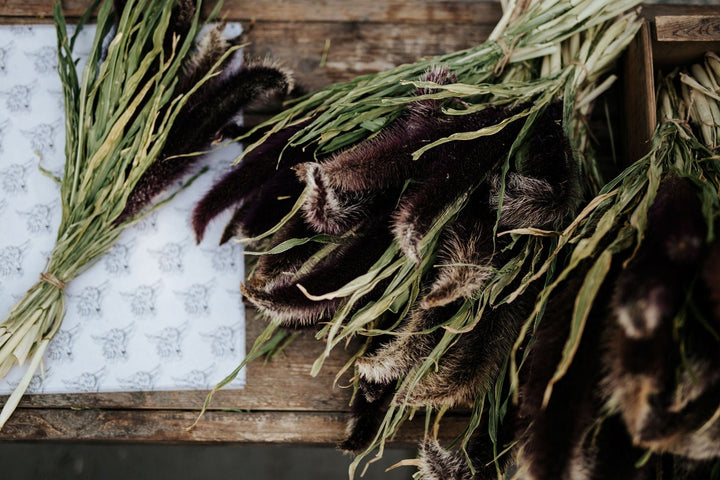 The Kinlands Extra Large Dried Millet Bouquet