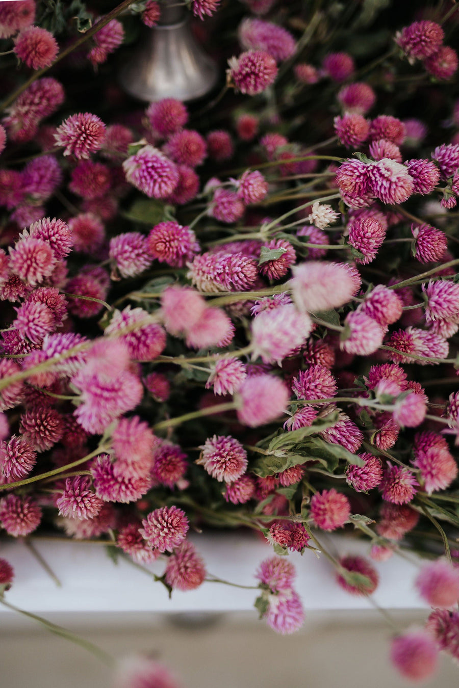 The Kinlands Large Dried Globe Amaranth Bouquet
