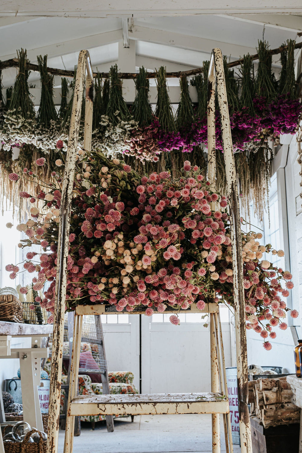 The Kinlands Large Dried Globe Amaranth Bouquet