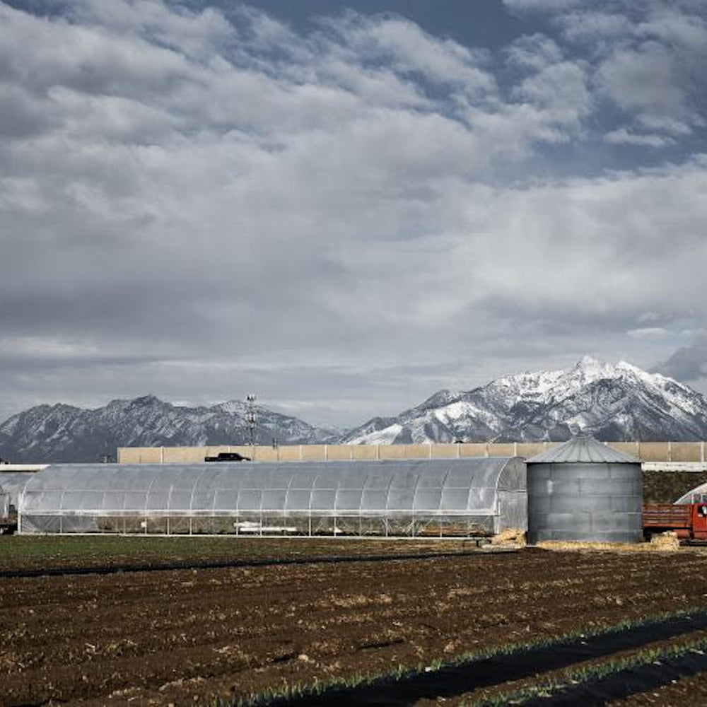 farm building with mountains