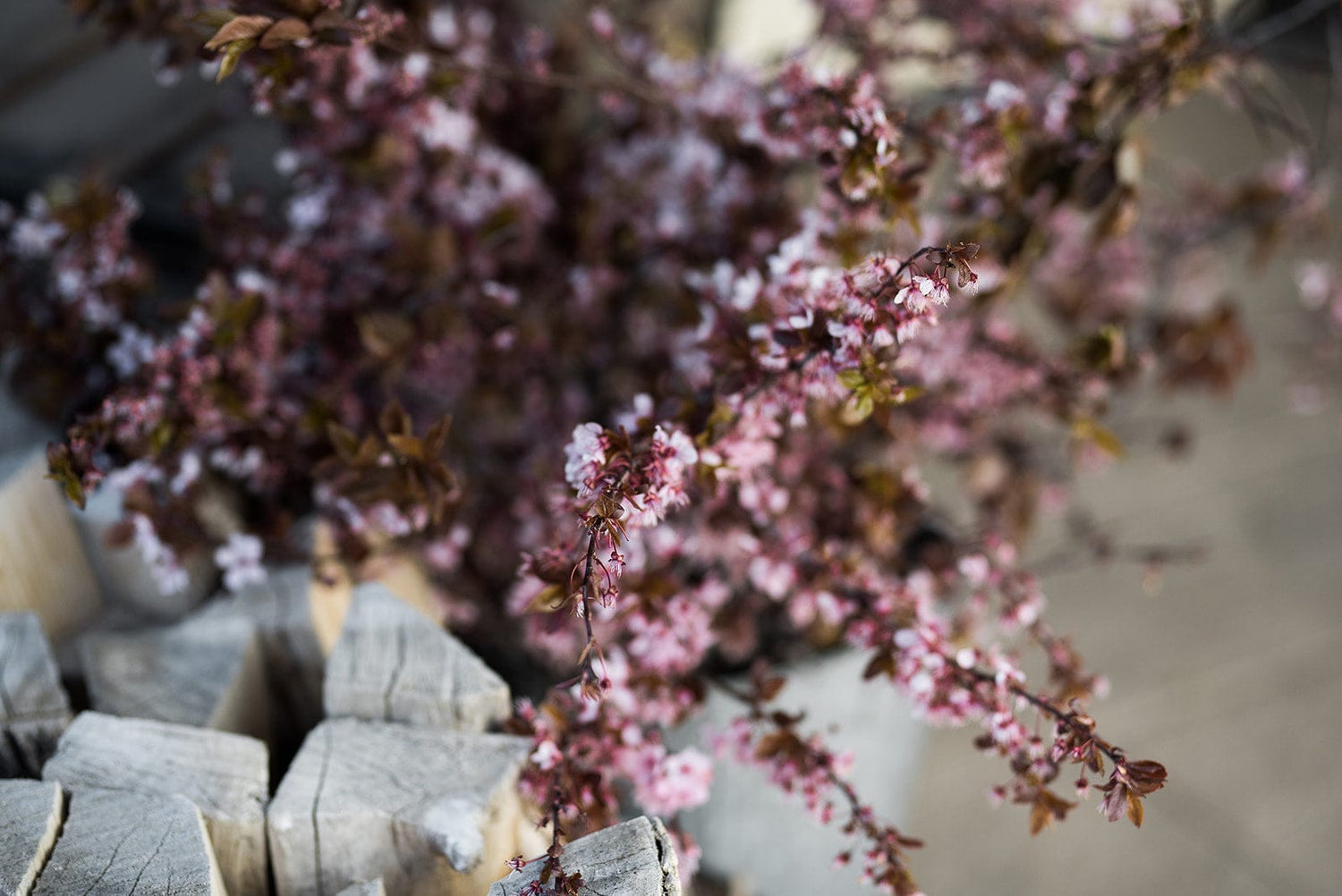 Spring