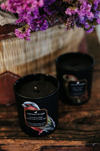 A Pleasant Thought candles Harlow: Sweet Rose & Wild Figs Candle