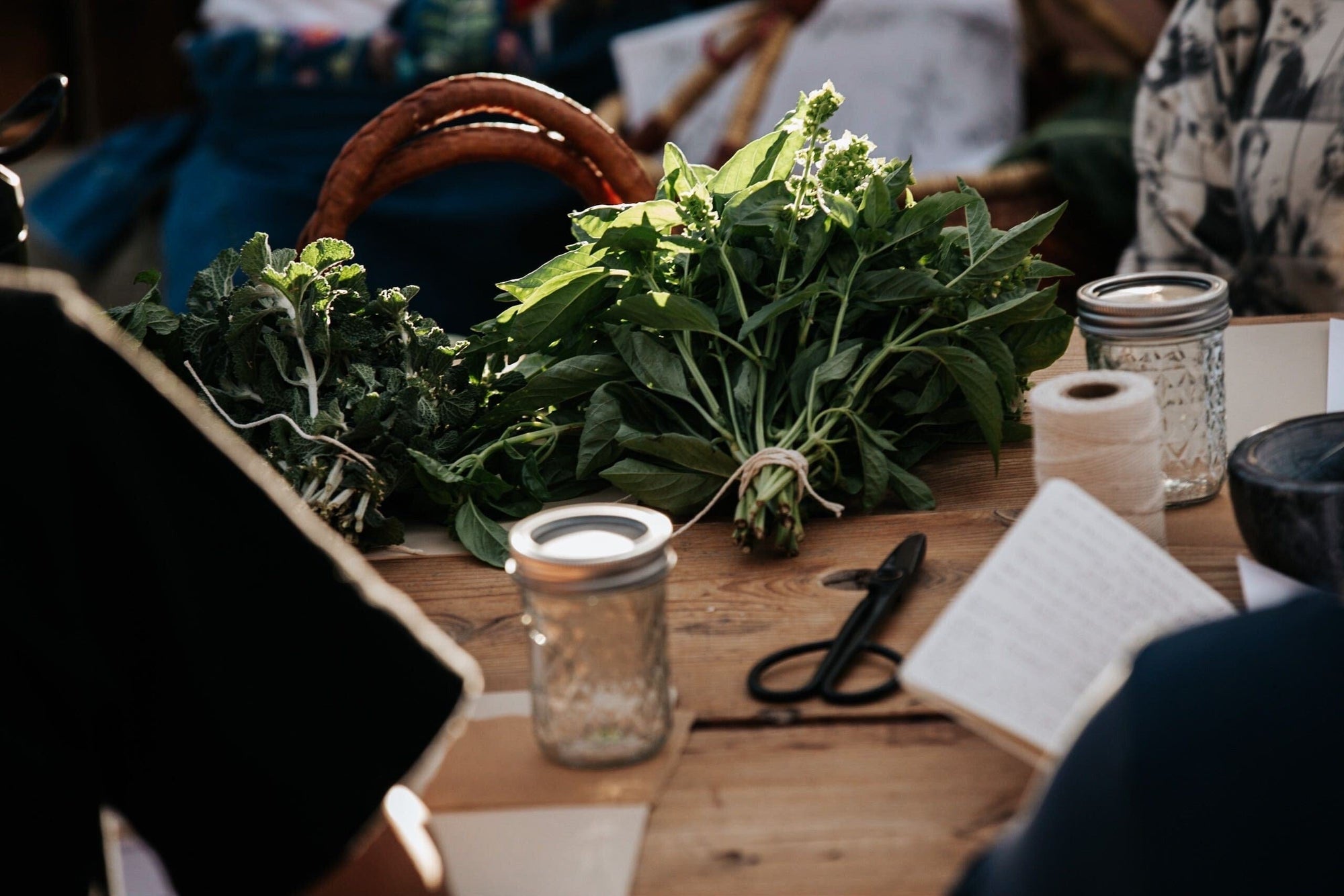 Gather and Grow Workshop 2024 Rooted Rhythms: An 8-week Immersive Course with Plants, Flowers, and Herbs