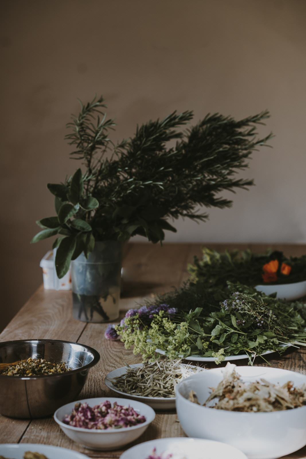 Gather and Grow Workshop Rooted Rhythms: An 8-week Immersive Course with Plants, Flowers, and Herbs
