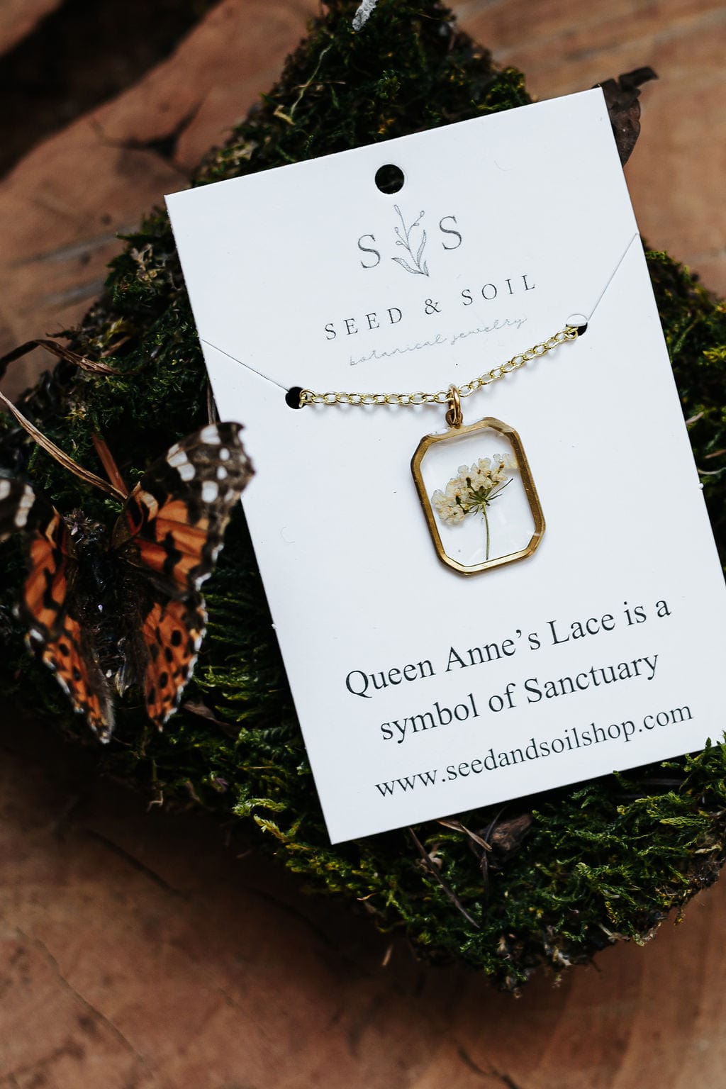 Seed & Soil Botanical Jewelry Jewelry Queen Anne's Field Frame Necklace