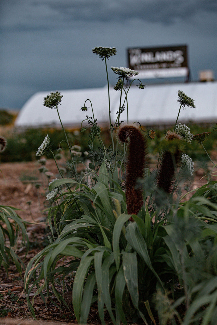 The Kinlands June 19th - 6:30 pm - 9:30 pm June Land-to-Table Dinner