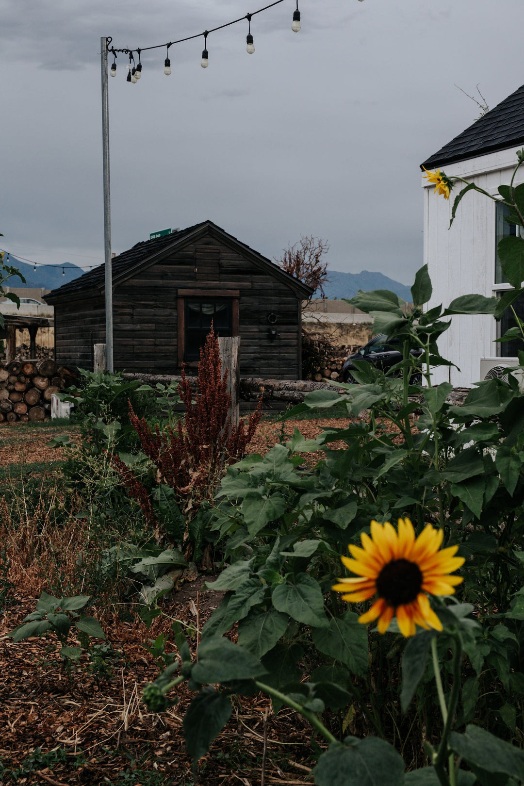 The Kinlands Photography Pumpkin Patch Morning Photography Pass