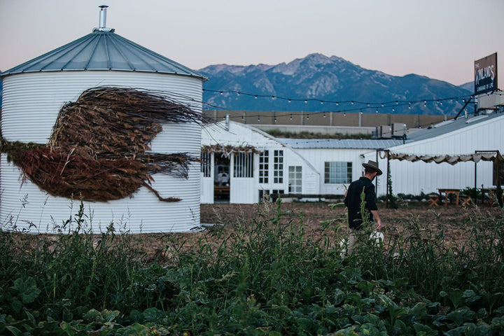 The Kinlands Photography Pumpkin Patch Morning Photography Pass