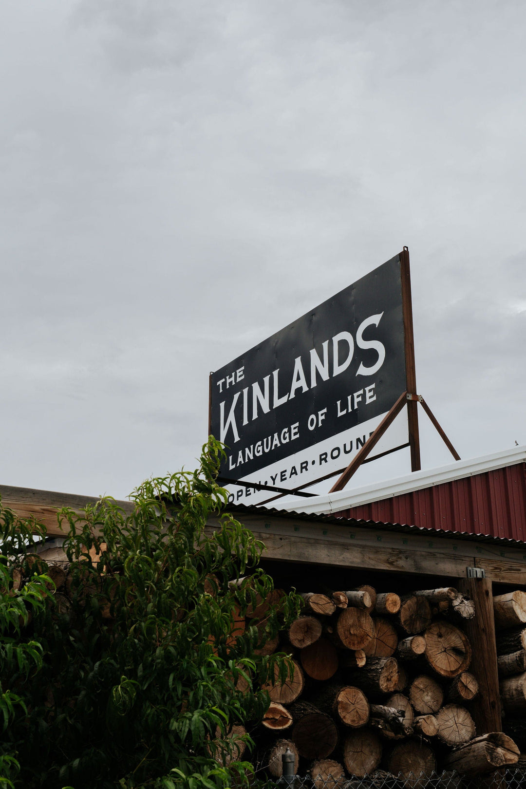 The Kinlands Photography Pumpkin Patch Morning Photography Pass