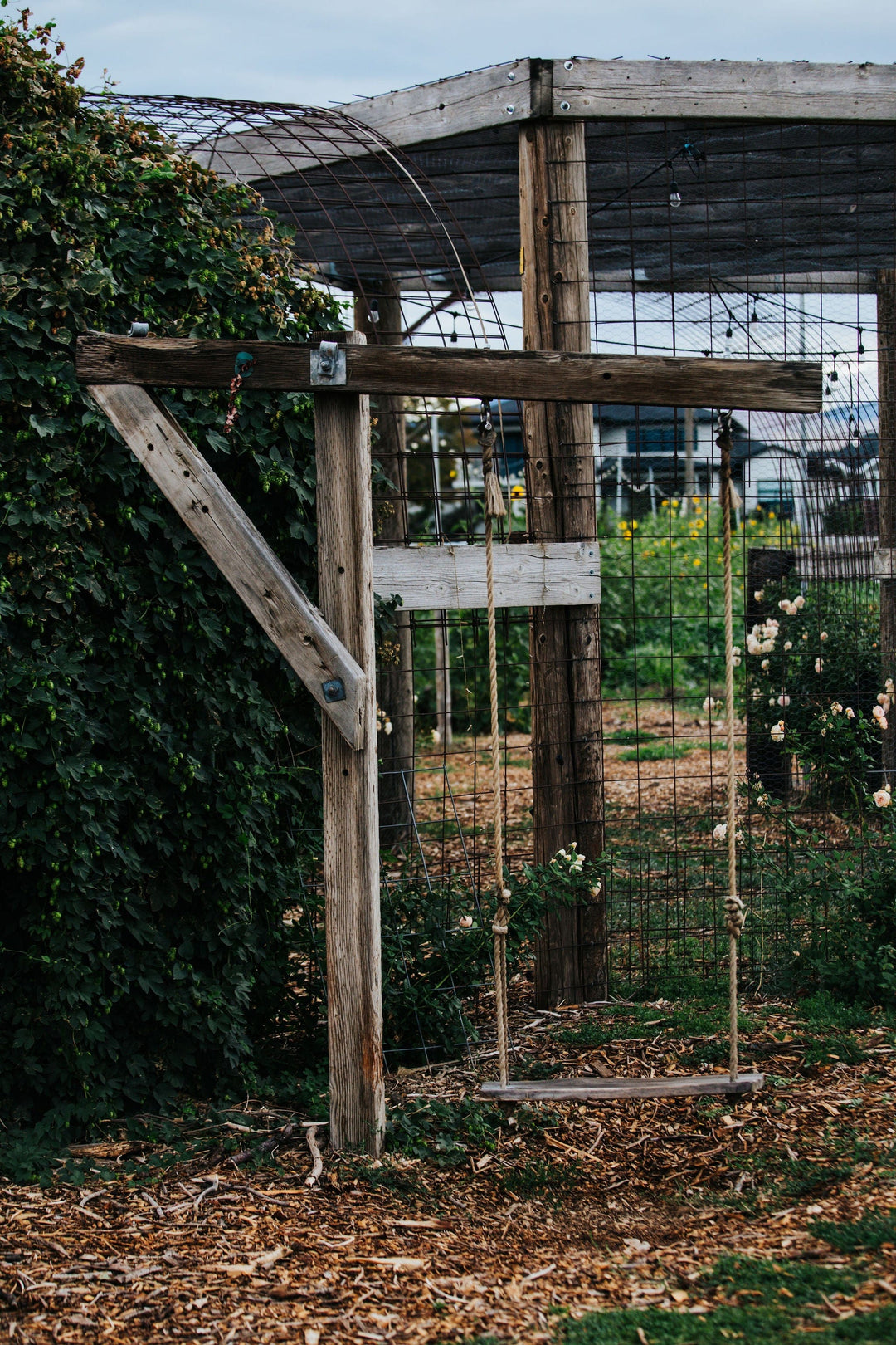 The Kinlands Photography Pumpkin Patch Morning Photography Pass