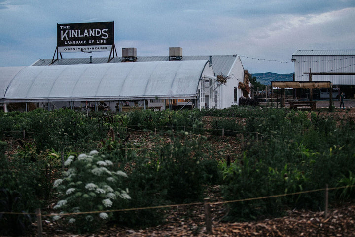 The Kinlands Photography Pumpkin Patch Morning Photography Pass